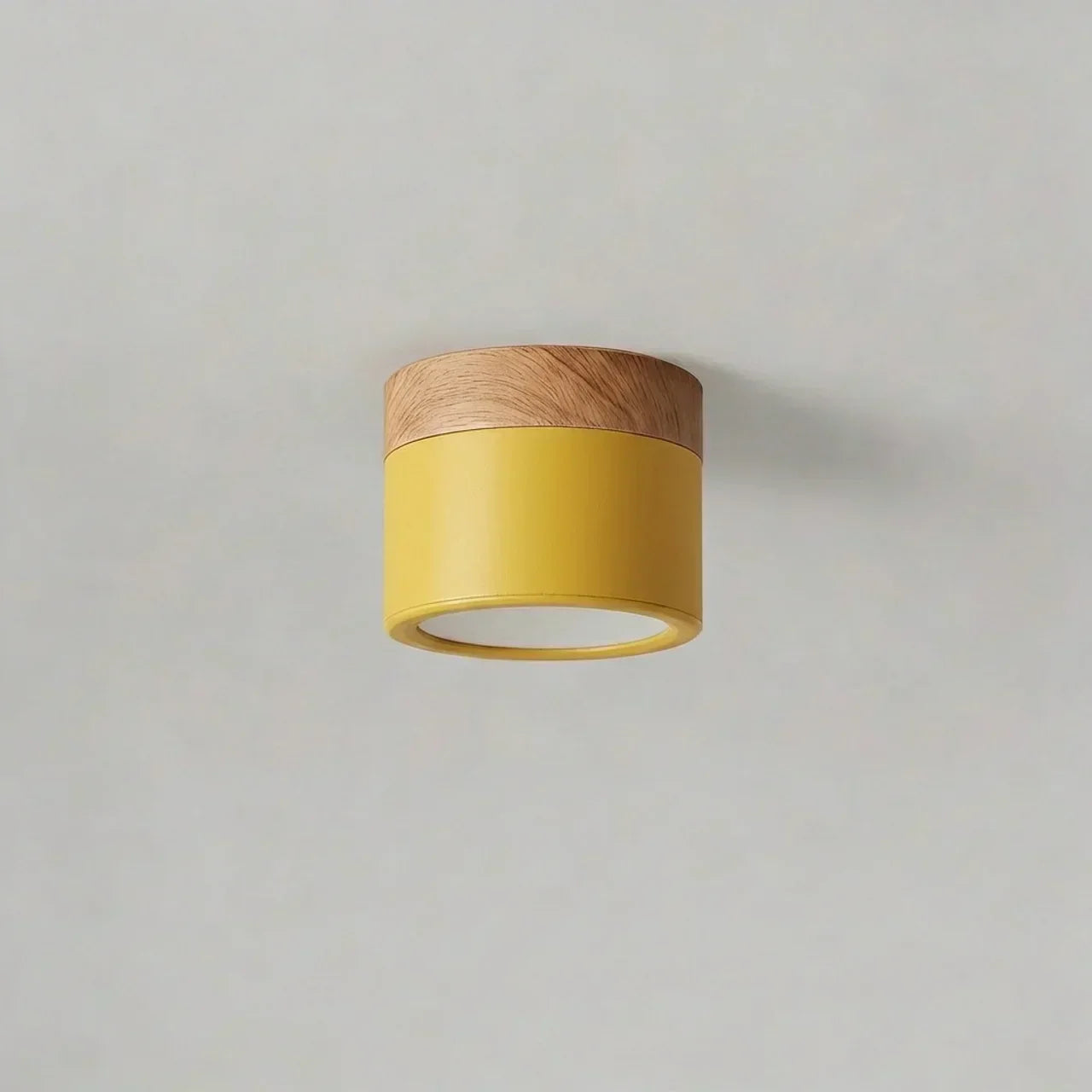 Flush Mount Ceiling Light With Integrated LED And Solid Colour Wood Accent | Temsk