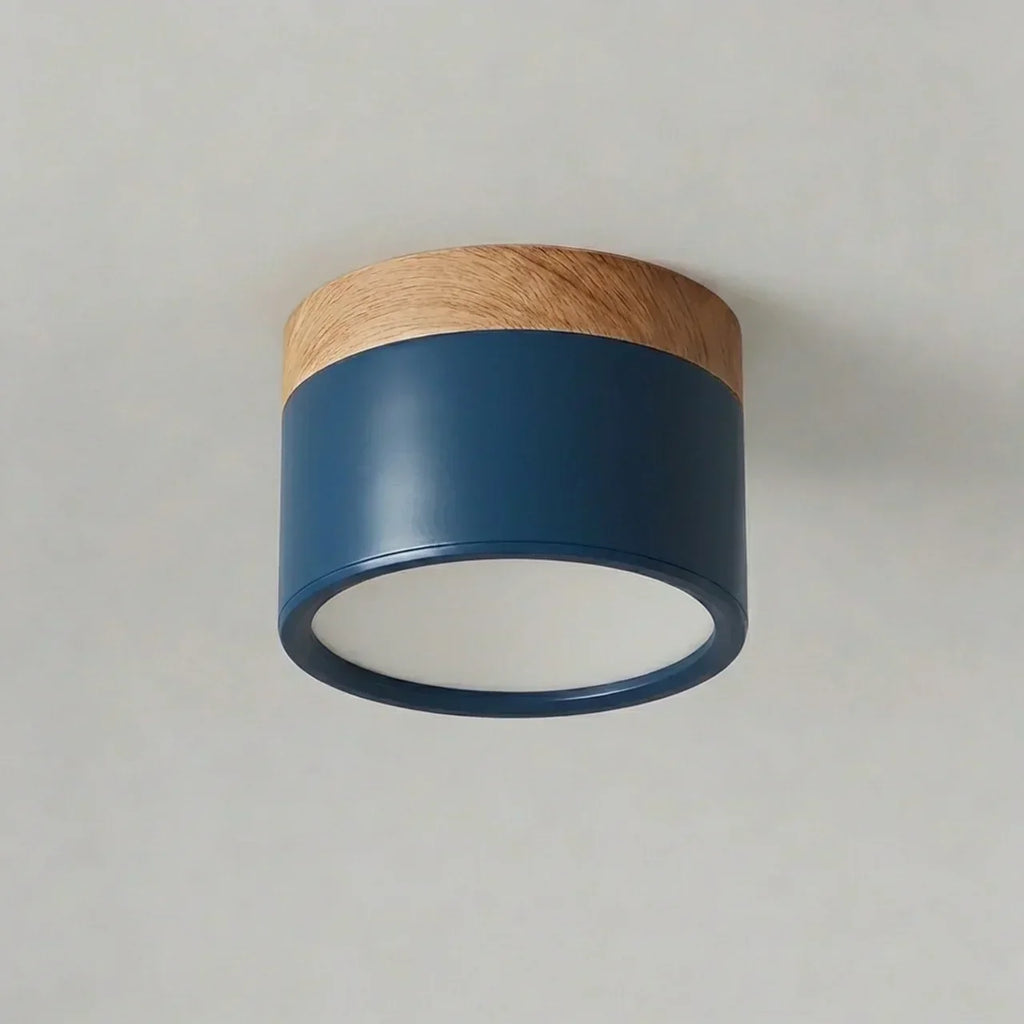 Flush Mount Ceiling Light With Integrated LED And Solid Colour Wood Accent | Temsk