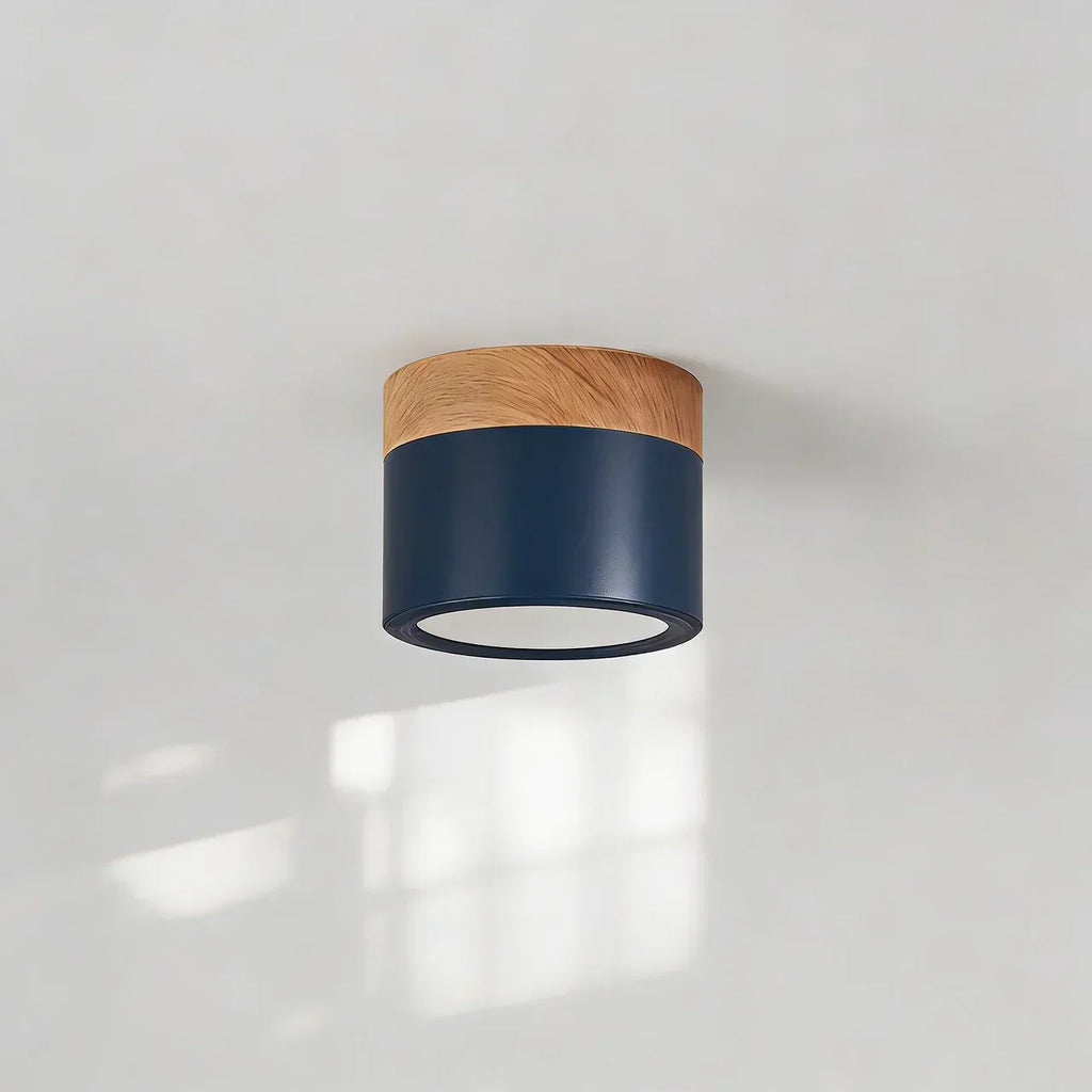 Flush Mount Ceiling Light With Integrated LED And Solid Colour Wood Accent | Temsk