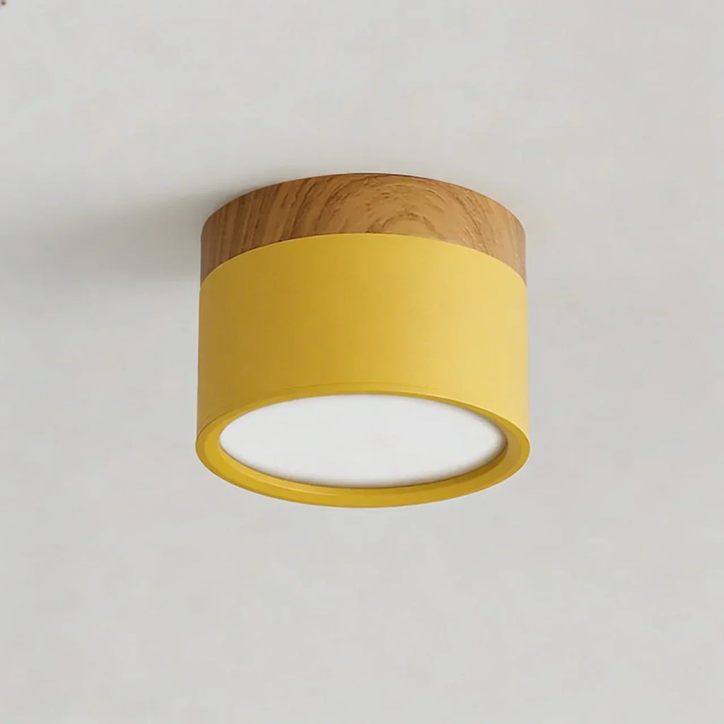 Flush Mount Ceiling Light With Integrated LED And Solid Colour Wood Accent | Temsk