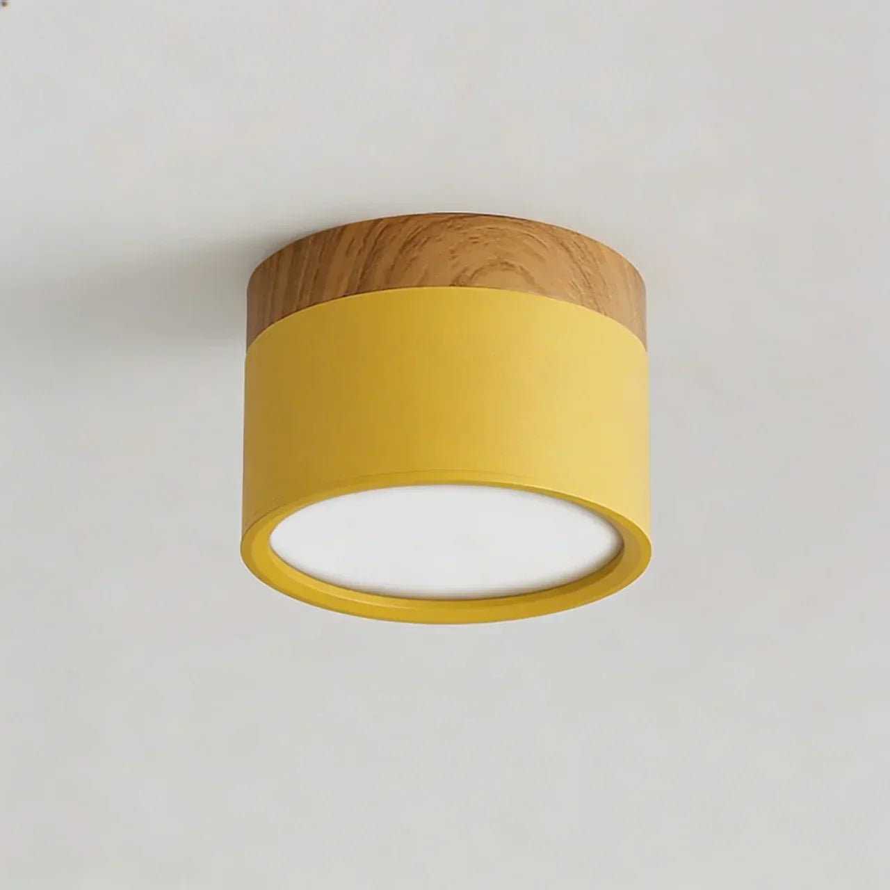 Flush Mount Ceiling Light With Integrated LED And Solid Colour Wood Accent | Temsk