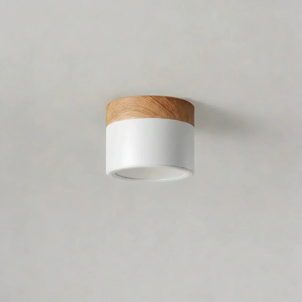 Flush Mount Ceiling Light With Integrated LED And Solid Colour Wood Accent | Temsk