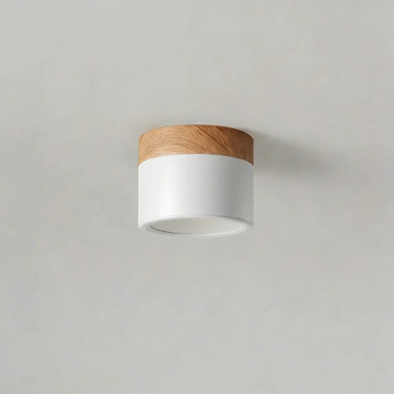 Flush Mount Ceiling Light With Integrated LED And Solid Colour Wood Accent | Temsk