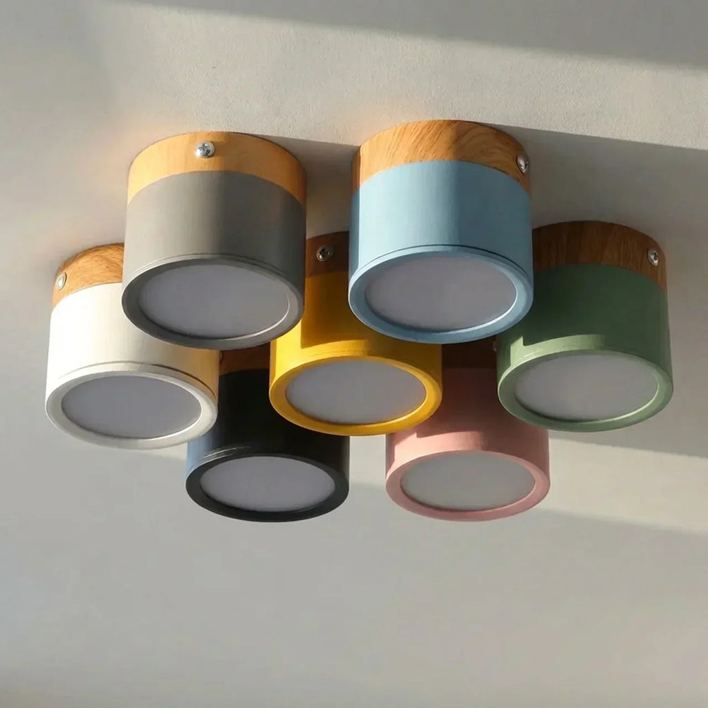 Flush Mount Ceiling Light With Integrated LED And Solid Colour Wood Accent | Temsk