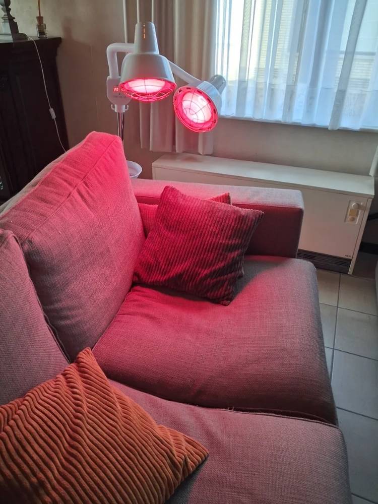 Dual-Head Infrared Heat Lamp for Home Therapy | Temsk