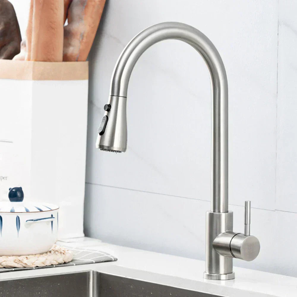 Spray Kitchen Faucet With Pull Out Single Handle Sink Tap | Temsk