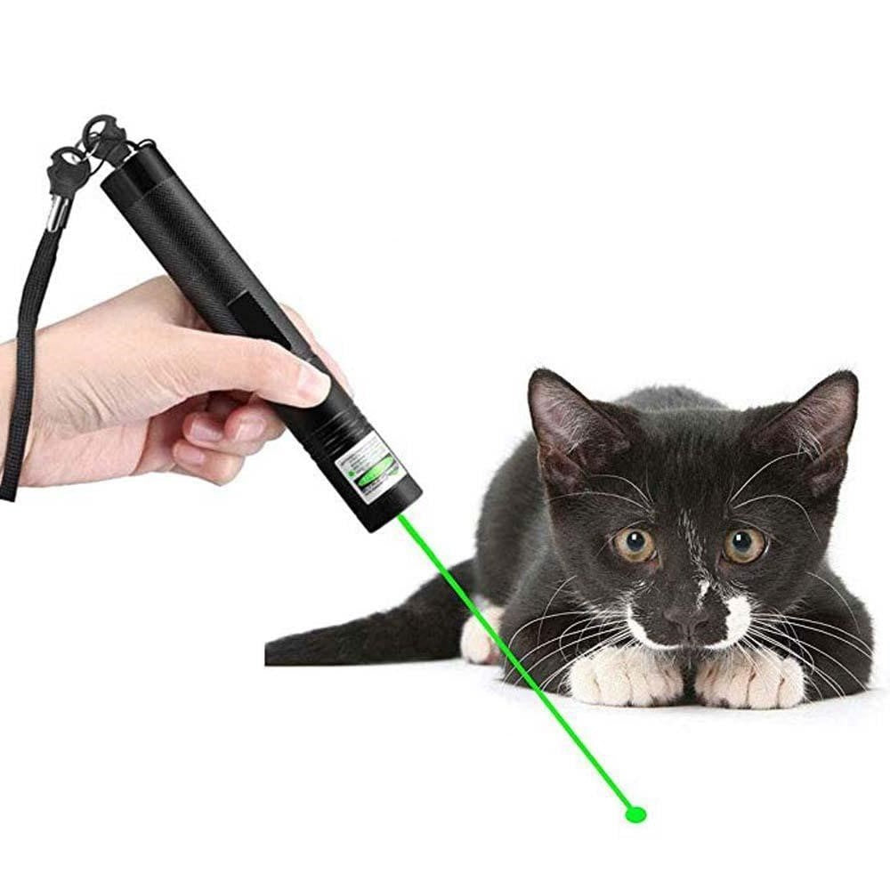 NovaBeam 303 High-Output Green Laser Pointer For Precise Positioning | Temsk