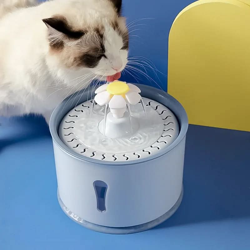 PawNest Spring Automatic Pet Drinking Fountain With Filtration System | Temsk