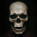 Realistic Halloween Skull Mask With Movable Jaw For Haunts And Parties | Temsk