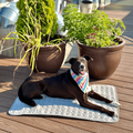 Tragbare, stromlose Kühlmatte für Hunde, selbstkühlendes Pad | Temsk