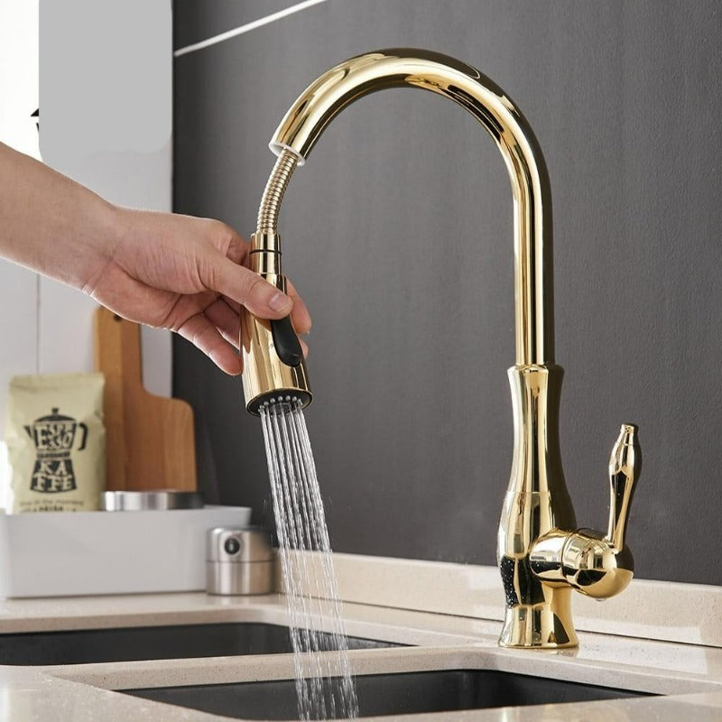 NovaFlow Modern Kitchen Faucet With Pull-Out Spray | Temsk
