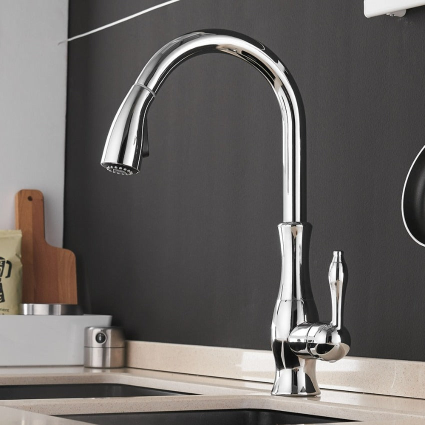 NovaFlow Modern Kitchen Faucet With Pull-Out Spray | Temsk