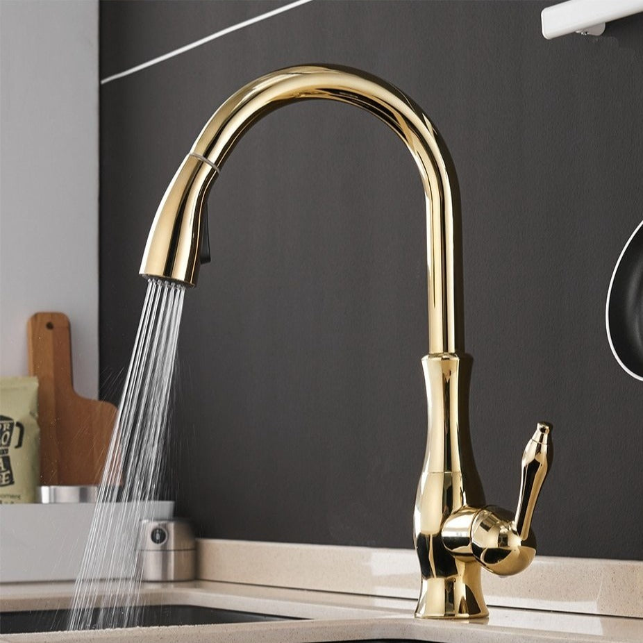 NovaFlow Modern Kitchen Faucet With Pull-Out Spray | Temsk