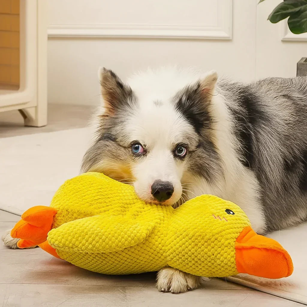 Playful Calming Toy For Dogs With Quacking Sound For Chewing | Temsk