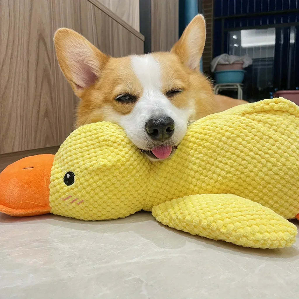 Playful Calming Toy For Dogs With Quacking Sound For Chewing | Temsk