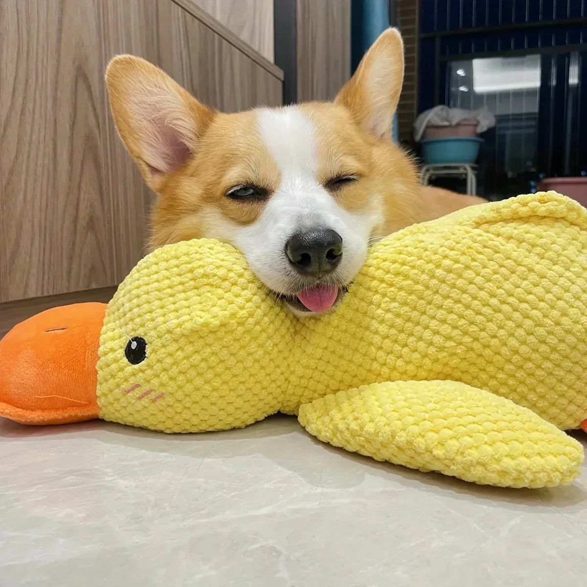 Playful Calming Toy For Dogs With Quacking Sound For Chewing | Temsk