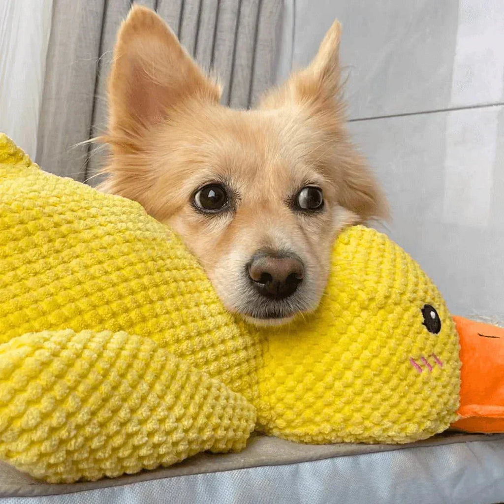 Playful Calming Toy For Dogs With Quacking Sound For Chewing | Temsk