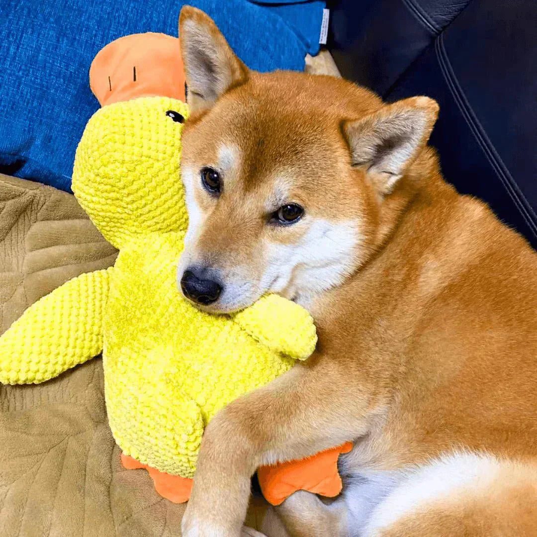 Playful Calming Toy For Dogs With Quacking Sound For Chewing | Temsk