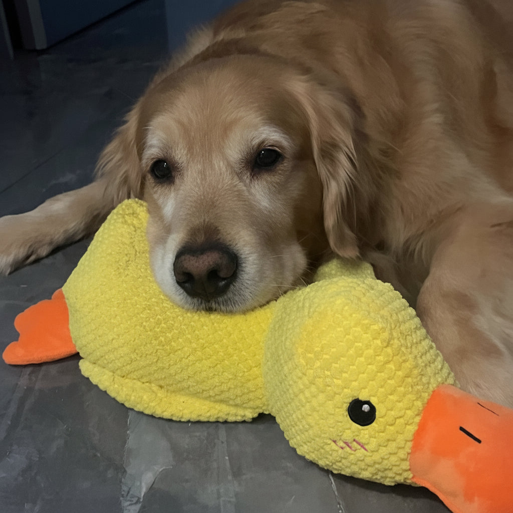 Playful Calming Toy For Dogs With Quacking Sound For Chewing | Temsk