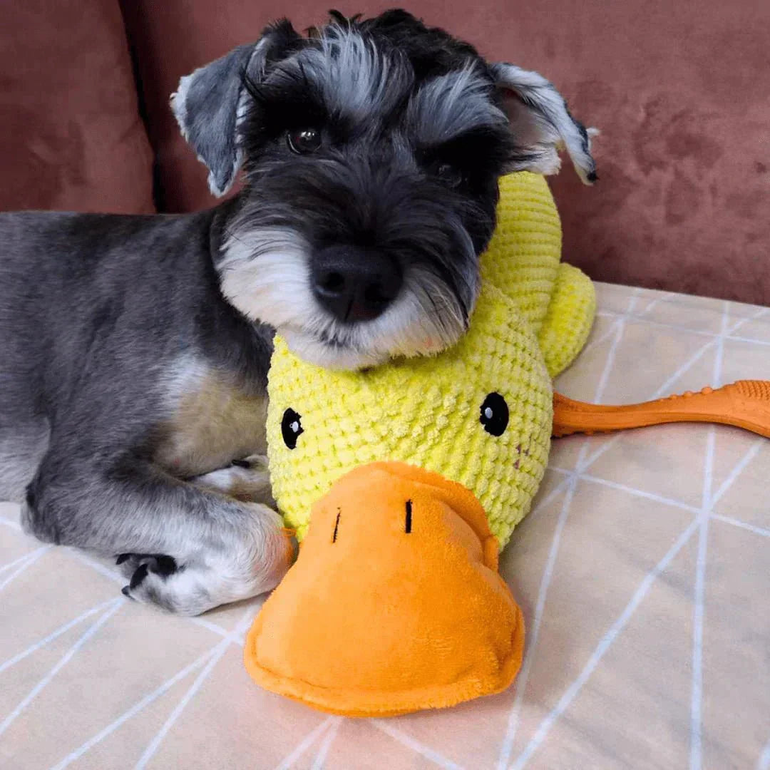 Playful Calming Toy For Dogs With Quacking Sound For Chewing | Temsk