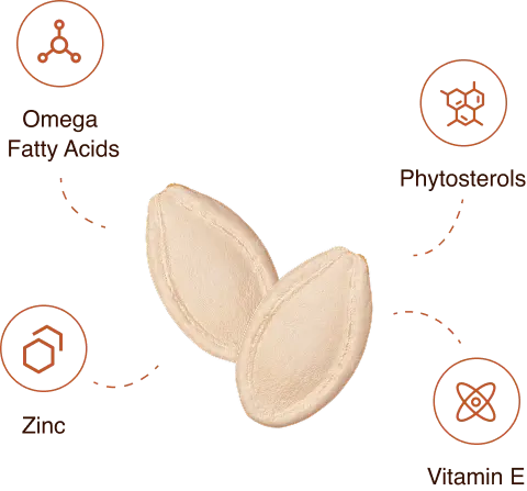 Pumpkin Seed Oil with Saw Palmetto & Zinc | Temsk