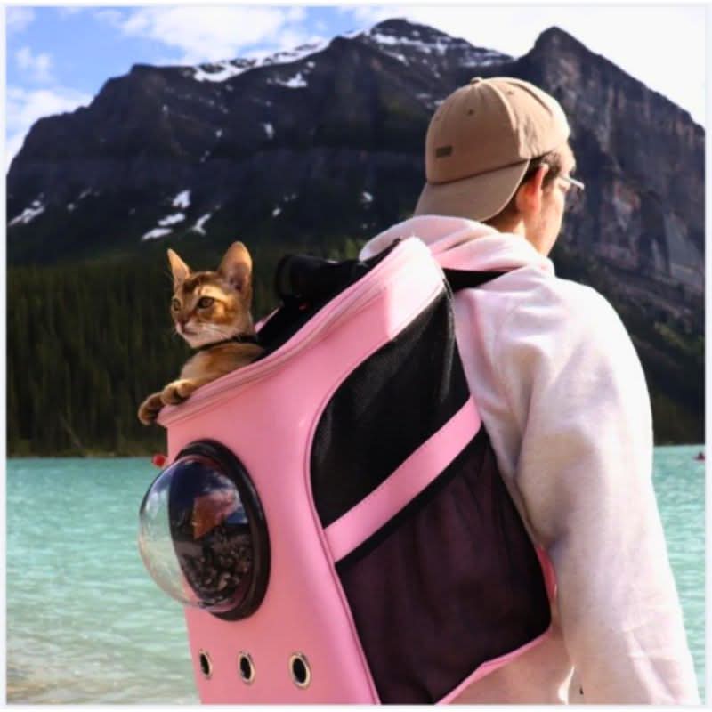 VistaPaw Foldable Cat Travel Bag With Panorama Window | Temsk