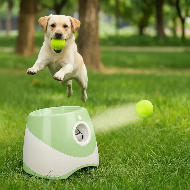 FetchNova Deluxe Automatic Ball Thrower For Dogs Pro | Temsk