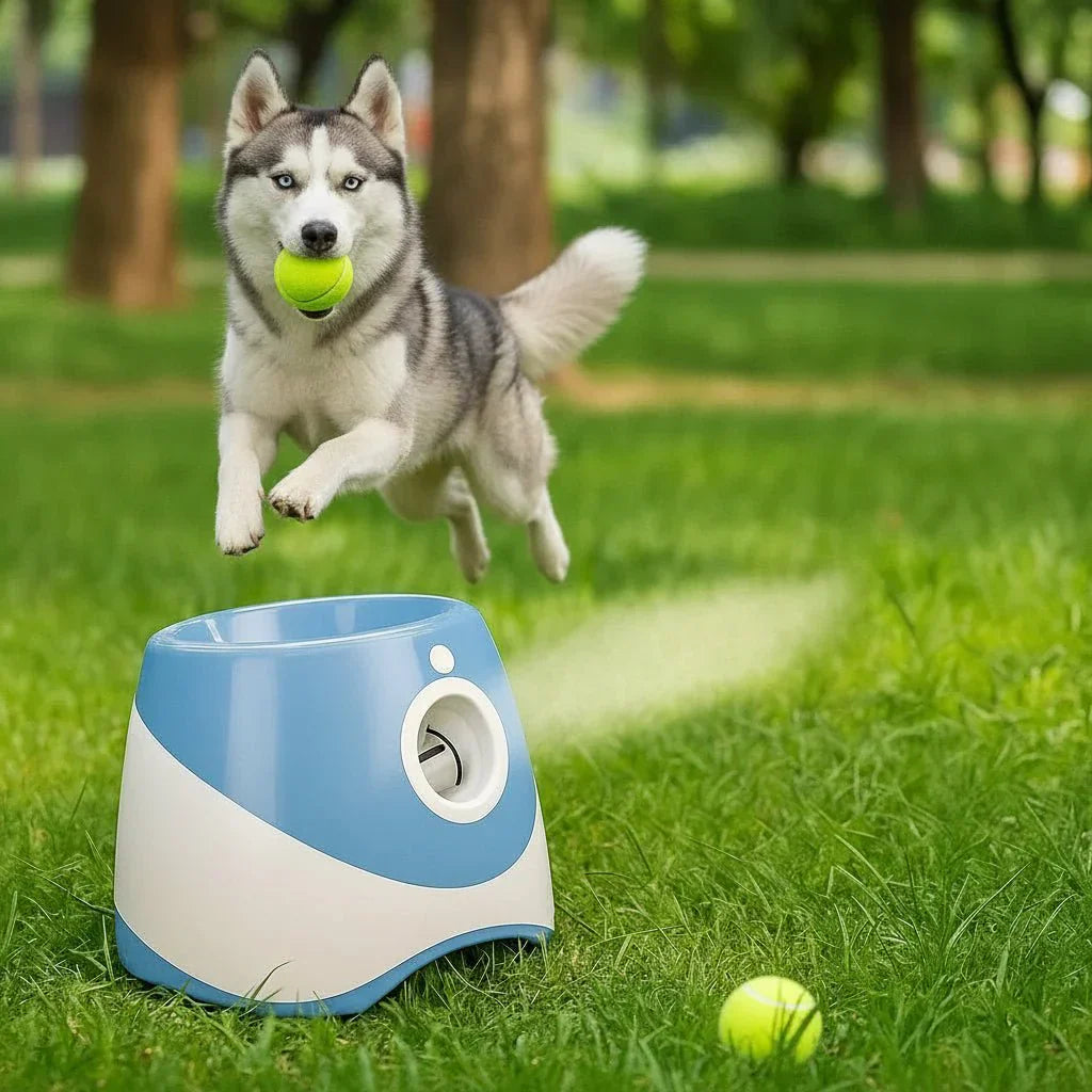 FetchMate Automatic Ball Thrower - Rechargeable Dog Toy | Temsk