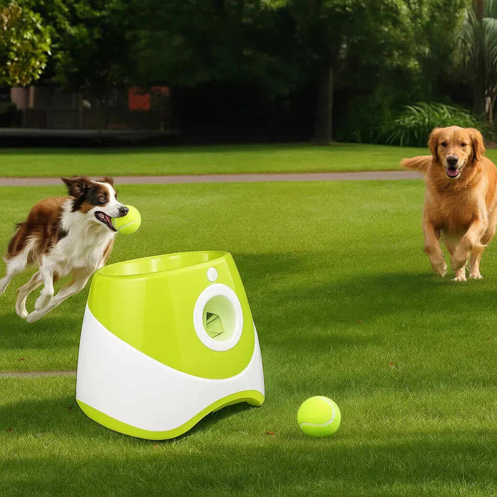 FetchNova Deluxe Automatic Ball Thrower For Dogs Pro | Temsk