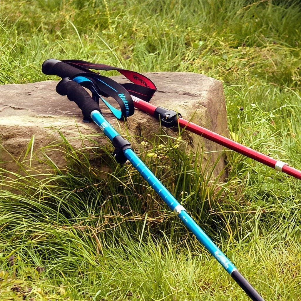 Trekking Poles, Lightweight Folding | Temsk