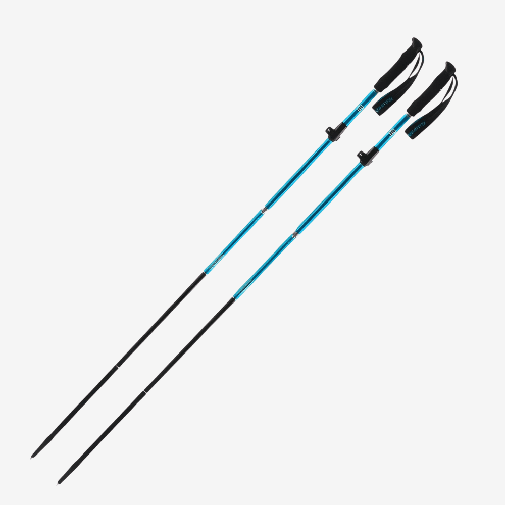 Trekking Poles, Lightweight Folding | Temsk