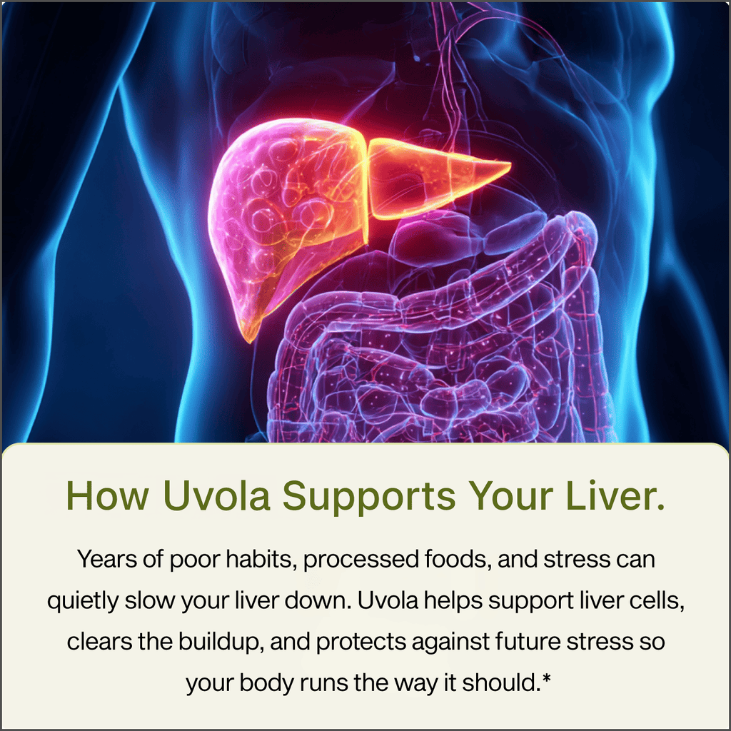 Milk Thistle Capsules for Liver Support, Digestion & Energy | Temsk