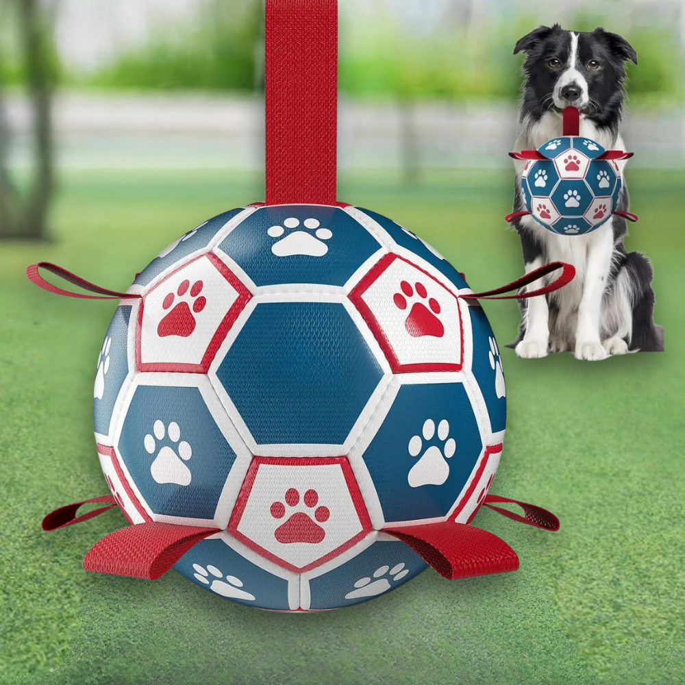 Weltmeisterschaft Interaktives Ball-Hundespielzeug mit strapazierfähigem Mesh-Seilgriff | Temsk