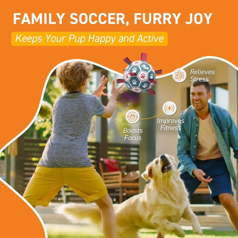Weltmeisterschaft Interaktives Ball-Hundespielzeug mit strapazierfähigem Mesh-Seilgriff | Temsk
